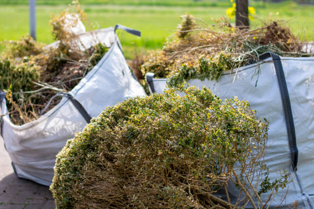 Best Residential Junk Removal  in Santee, SC